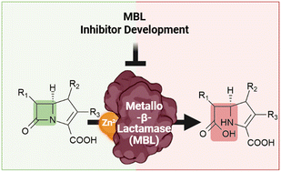 Graphical abstract: Navigating the complexities of drug development for metallo-β-lactamase inhibitors