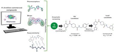 Graphical abstract: Allosteric targeting of RIPK1: discovery of novel inhibitors via parallel virtual screening and structure-guided optimization