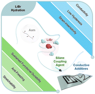 Graphical abstract: A synergistically designed strain-insensitive conductive hydrogel with humidity-adaptivity supporting sustained functional durability