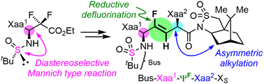 Graphical abstract: Diastereoselective synthesis of (Z)-fluoroalkene dipeptide isosteres utilizing chiral auxiliaries