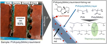 Graphical abstract: Developing environmentally friendly fishing nets by integrating halogenated marine terpene with hydrogel polymers