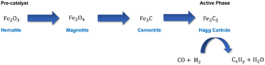 Graphical abstract: The impact of co-feeding carbon dioxide in Fischer–Tropsch-to-olefin catalysis: an inelastic neutron scattering study