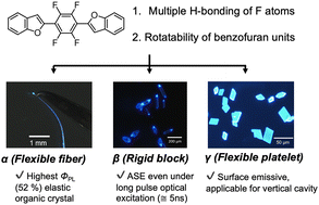 Graphical abstract: Polymorphism-induced multi-functional crystal photonics achieved by a highly luminescent benzofuranyl molecule having a tetrafluorophenylene core