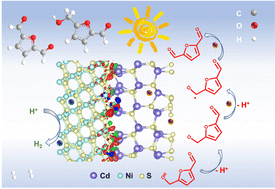 Graphical abstract: Deep eutectic solvothermal NiS2/CdS synthesis for the visible-light-driven valorization of the biomass intermediate 5-hydroxymethylfurfural (HMF) integrated with H2 production
