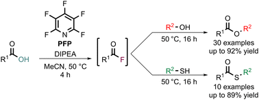 Graphical abstract: One-pot ester and thioester formation mediated by pentafluoropyridine (PFP)