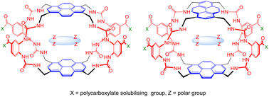 Graphical abstract: Tricyclic octaurea “Temples” for the recognition of polar molecules in water