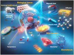 Graphical abstract: Quantum life science: biological nano quantum sensors, quantum technology-based hyperpolarized MRI/NMR, quantum biology, and quantum biotechnology