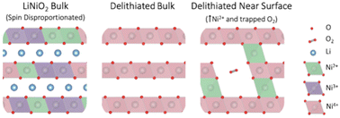 Graphical abstract: Distinguishing bulk redox from near-surface degradation in lithium nickel oxide cathodes