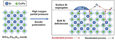 Graphical abstract: A comprehensive investigation of Sr segregation effects on the high-temperature oxygen evolution reaction rate