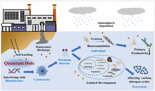 Graphical abstract: Occurrence, behavior, and ecotoxicity of quantum dots in aquatic environments