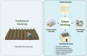 Graphical abstract: The intersection of nanotechnology and urban agriculture: applications of carbon dots