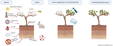 Graphical abstract: Nanomaterials for managing abiotic and biotic stress in the soil–plant system for sustainable agriculture