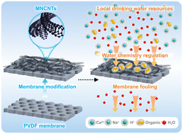 Graphical abstract: Exploring the effect of water chemistry regulation on the ultrafiltration performance of a new membrane with multi-walled carbon nanotube modification: based on real source water tests