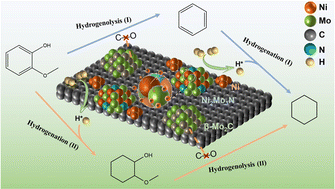 Graphical abstract: Efficient hydrodeoxygenation of lignin-derived phenolic compounds under acid-free conditions over carbon-supported NiMo catalysts