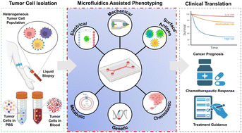 Graphical abstract: Advances in microfluidic platforms for tumor cell phenotyping: from bench to bedside