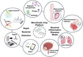 Graphical abstract: Advancements in microfluidic technology for rapid bacterial detection and inflammation-driven diseases