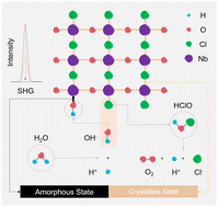 Graphical abstract: Layered NbOCl2 kinetic degradation mechanism and improved second-order nonlinear optical responses