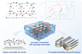 Graphical abstract: An ionically cross-linked composite hydrogel electrolyte based on natural biomacromolecules for sustainable zinc-ion batteries
