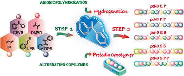 Graphical abstract: Synthesis of periodic polyolefins based on anionic alternating copolymerization