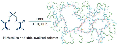 Graphical abstract: Geometry-directed cyclisation within the transfer-dominated branching radical telomerisation of dimethacrylates