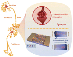 Graphical abstract: Emerging van der Waals material CuInP2S6: physical properties, theories and applications