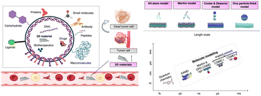 Graphical abstract: Nanomaterials and methods for cancer therapy: 2D materials, biomolecules, and molecular dynamics simulations