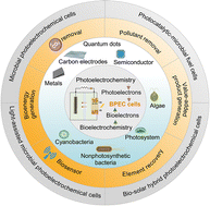 Graphical abstract: Engineering strategies in bio-photoelectrochemical cells for sustainable energy and environmental applications