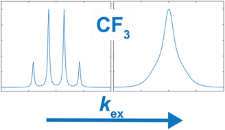 Graphical abstract: The influence of fluorine spin-diffusion on 13C solid-state NMR line shapes of CF3 groups