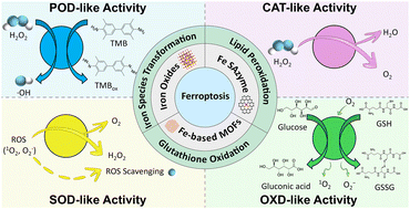 Graphical abstract: Iron-based nanozymes induced ferroptosis for tumor therapy