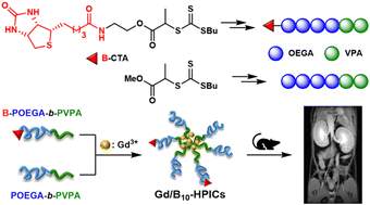 Graphical abstract: Design of colloidal vectors for active targeting via complexation of biotinylated copolymers with gadolinium ions