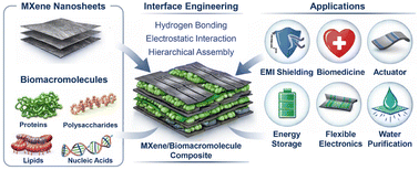 Graphical abstract: MXene/biomacromolecule composites: structures, properties, fabrication and applications