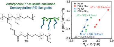 Graphical abstract: Synthesis of butadiene-derived polyolefin graft copolymers and their crystallization behaviors