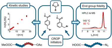 Graphical abstract: Carboxylic acid α-end-functionalized poly(2-oxazoline)s synthesized through benzylic CROP initiators