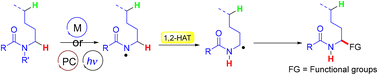 Graphical abstract: Site-selective α-C(sp3)–H bond functionalization of amines/amides via 1,2-hydrogen atom transfer