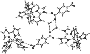 Graphical abstract: Cobalt 2,2′-biimidazole complexes co-crystallised with di-acids — synthesis, structure and quantum chemical calculations