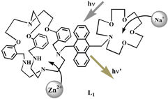 Graphical abstract: Fluorescence enhancement of a signaling system in the simultaneous presence of transition and alkali metal ions: a potential AND logic gate