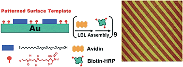 Graphical abstract: Building three-dimensional nanostructures with active enzymes by surface templated layer-by-layer assembly