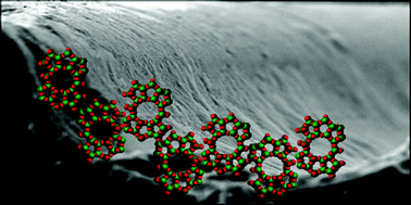 Graphical abstract: Zeolite nanoparticle modified microchip reactor for efficient protein digestion