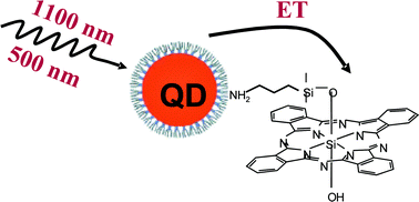 Graphical abstract: One- and two-photon induced QD-based energy transfer and the influence of multiple QD excitations