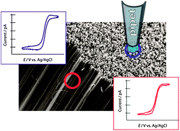 Graphical abstract: Electrochemistry at carbon nanotube forests: sidewalls and closed ends allow fast electron transfer