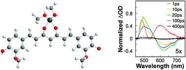 Graphical abstract: Femtosecond transient absorption spectroscopy of copper(ii)–curcumin complexes