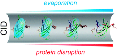 Graphical abstract: The ‘sticky business’ of cleaning gas-phase membrane proteins: a detergent oriented perspective