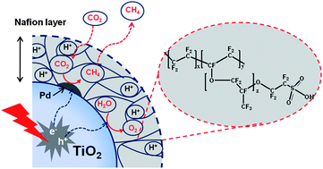 Graphical abstract: Nafion layer-enhanced photosynthetic conversion of CO2 into hydrocarbons on TiO2 nanoparticles