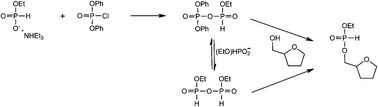 Graphical abstract: Reactive intermediates in the H-phosphonate synthesis of oligonucleotides