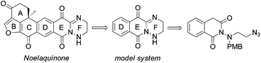 Graphical abstract: Synthesis of 1,2,4-triazines and the triazinoisoquinolinedione DEF ring system of noelaquinone