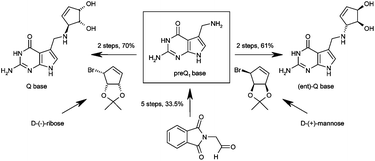 Graphical abstract: Concise and efficient syntheses of preQ1 base, Q base, and (ent)-Q base