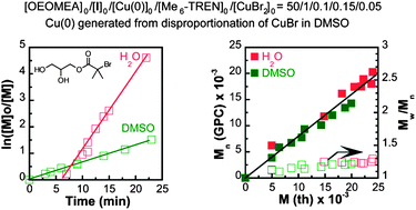 Graphical abstract: A comparative study of the SET-LRP of oligo(ethylene oxide) methyl ether acrylate in DMSO and in H2O