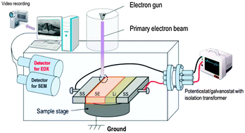 Graphical abstract: In situ SEM study of a lithium deposition and dissolution mechanism in a bulk-type solid-state cell with a Li2S–P2S5 solid electrolyte