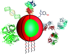 Graphical abstract: Quantum dot approaches for target-based drug screening and multiplexed active biosensing