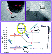 Graphical abstract: Cost-effective and eco-friendly synthesis of novel and stable N-doped ZnO/g-C3N4 core–shell nanoplates with excellent visible-light responsive photocatalysis